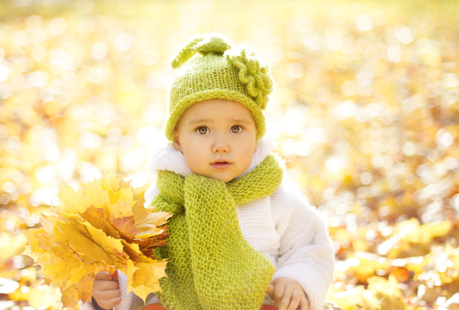 Fall Time Fun